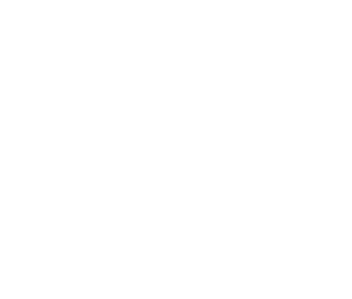 Network Box Logo